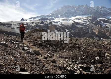 Frau steigt das Horcones-Tal vom Plaza de Mulas auf Aconcagua in den Anden, Provinz Mendoza, Argentinien Stockfoto