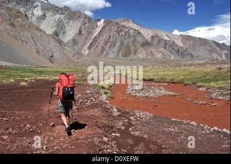 Frau steigt das Horcones-Tal vom Plaza de Mulas auf Aconcagua in den Anden, Provinz Mendoza, Argentinien Stockfoto