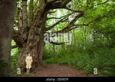 Junge Frau im Wald vor riesigen Baum Stockfoto