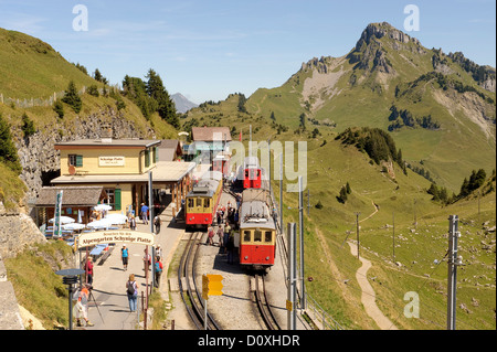 Berner Oberland, Reise, Zug, Eisenbahn, Bergstraße, Schynige Platte, Kanton Bern, Schweiz, Europa, Stockfoto