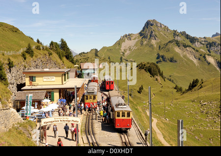 Berner Oberland, Reise, Zug, Eisenbahn, Bergstraße, Schynige Platte, Kanton Bern, Schweiz, Europa, Stockfoto