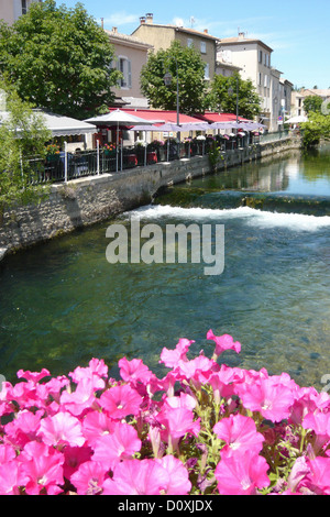 Frankreich, Europa, Provence, L'Isle-Sur-la-Sorgue, Vaucluse, Fluss, Fluss, Blumen, restaurants Stockfoto