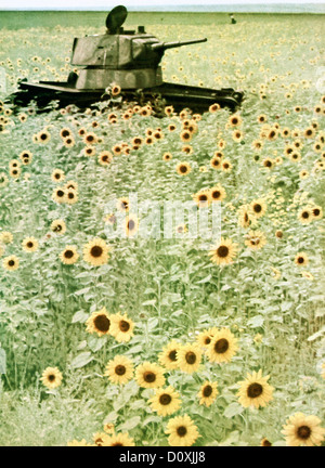 Betrieb, Barbarossa, Russisch, T34, Tank, verlassene, Sonnenblumen, Feld, Russland, Invasion, Ostfront, Zweiter Weltkrieg, sowjetische Un Stockfoto