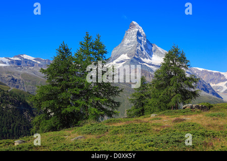 Alpen, Alpenpanorama, Ansicht, Baum, Berg, Berge, Panorama, Bergsee, Bäume, Felsen, Felsen, Gipfel, Landschaft, Lärche, lar Stockfoto