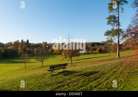 Herbst-Szene in Gadebridge Park, Hemel Hempstead, Hertfordshire, UK. Stockfoto