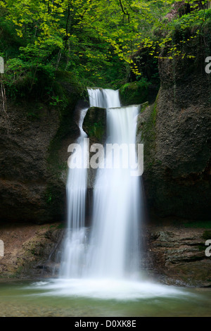 AA, Aa Bach, Bach, Bach, Bett, Bewegung, Fluss, Fluss, Kempten Kemptner Schlucht, Kemptnertobel, Moos, Schweiz, Europa, Stein Stockfoto