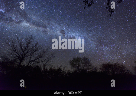 Africa, Southern, Namibiai, Nacht, Himmel, Sterne, Astro, Fotografie, spangled Himmel, Sternenhimmel, Grootfontein Stockfoto