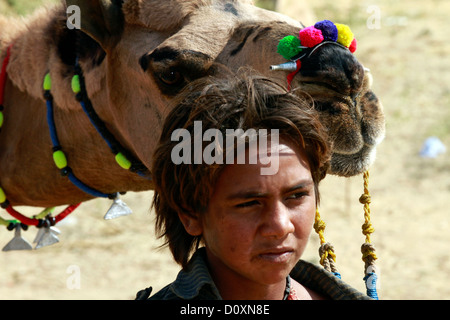 Kamel Wagen, Pushkar fair, indische Ethnizität, Thar-Wüste, Camel Fair, Transportmittel, Kamel-Safari, Messegelände, Haustier, Indien Stockfoto