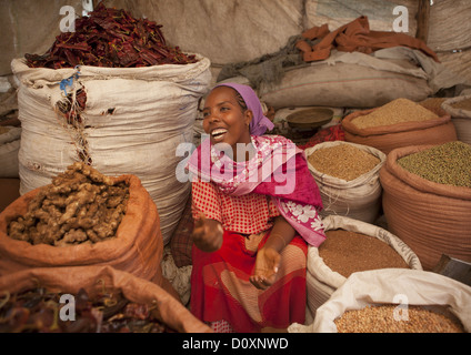 Porträt einer Frau-Verkäufer mit Toothy Lächeln auf dem Markt, Dire Dawa, Äthiopien Stockfoto