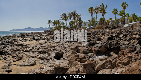 Spanien, Lanzarote, Puerto del Carmen, Felsiger Strand, Stadt, Dorf, Wald, Holz, Bäume, Sommer, Strand, Meer, Kanaren, Stockfoto