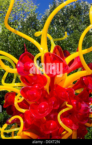 Dale Chihuly im Arboretum Dallas, Dallas, USA, Stockfoto