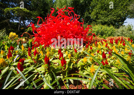 Dale Chihuly im Arboretum Dallas, Dallas, USA, Stockfoto