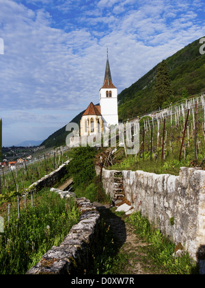 Bielersee, Himmel, Kanton Bern, Kirche, Ligerz, Wand, Weinbau, Weinberg, der Schweiz, Europa, Seeland, Wolken Stockfoto