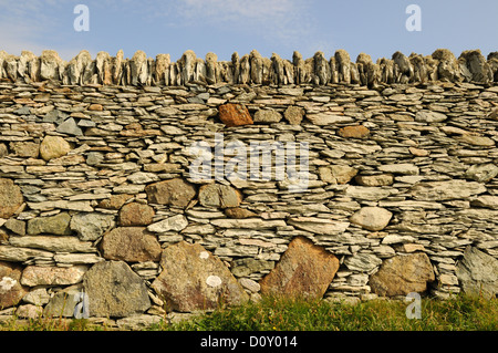 Nahaufnahme von einer alten Trockenmauer Rhoscolyn Head Anglesey Wales Cymru Wales Cymru UK GB Stockfoto