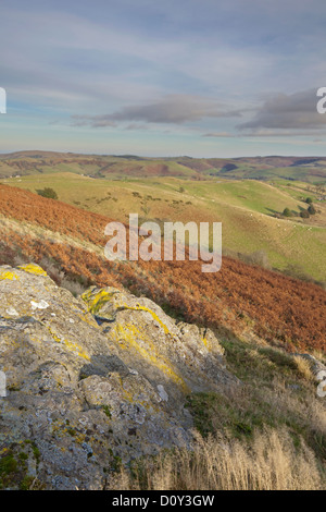 Blick Richtung Long Mynd von in der Nähe der Stiperstones National Nature Reserve, Shropshire, England, UK Stockfoto