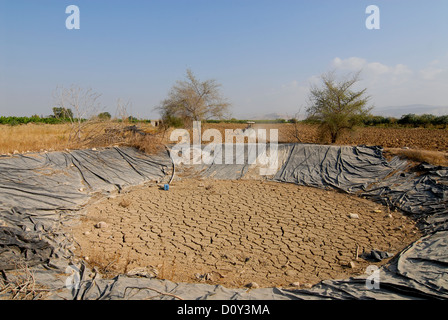 JORDAN, Wassermangel und Landwirtschaft im Jordantal, getrocknet Wasserteich Stockfoto