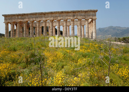 Ausgrabungsstätte der antiken griechischen dorischen Tempel Segesta Sizilien Italien Stockfoto