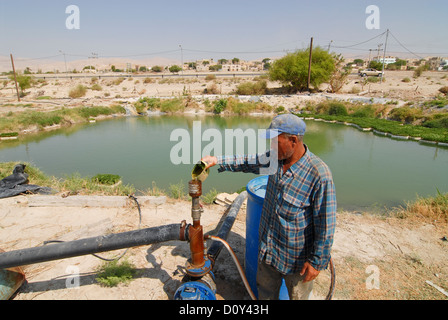 JORDAN, Wassermangel und Landwirtschaft im Jordantal, Gemüseanbau