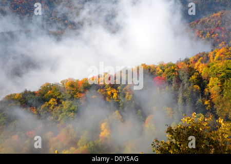 NC - Herbstfarben und steigender Nebel von Webb übersehen entlang der Newfound Gap Road im Great Smoky Mountains National Park gesehen. Stockfoto