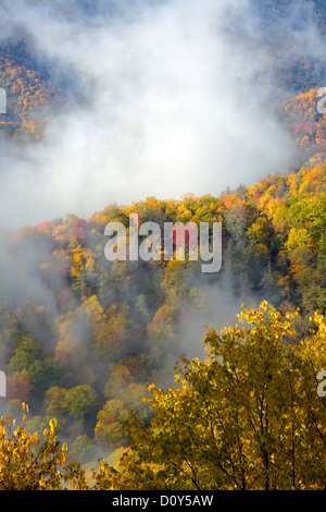 NC - Herbstfarben und steigender Nebel von Webb übersehen entlang der Newfound Gap Road im Great Smoky Mountains National Park gesehen. Stockfoto