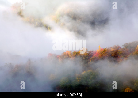 NC - Herbstfarben und steigender Nebel von Webb übersehen entlang der Newfound Gap Road im Great Smoky Mountains National Park gesehen. Stockfoto