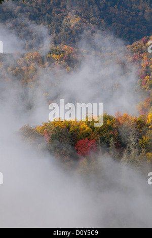 NC - Herbstfarben und steigender Nebel von Webb übersehen entlang der Newfound Gap Road im Great Smoky Mountains National Park gesehen. Stockfoto