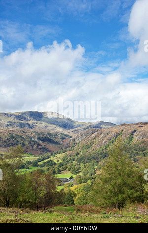 Herbstzeit in der Nähe von Tarn Hows mit der Coniston Fells in der Ferne, Nationalpark Lake District, Cumbria, England UK Stockfoto