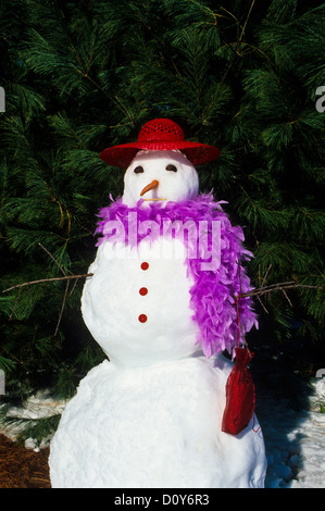 Bunte viktorianische Frau Weihnachten, Winter Dame Schneemann roten Hut Gesellschaft Stil Dame, lila Schal in New Jersey, USA, trägt Osterhaube, Winter gar Stockfoto