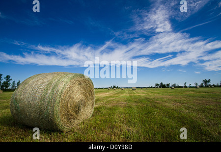 Sommerlandschaft mit Heuballen in Charlevoix Quebec-Kanada Stockfoto