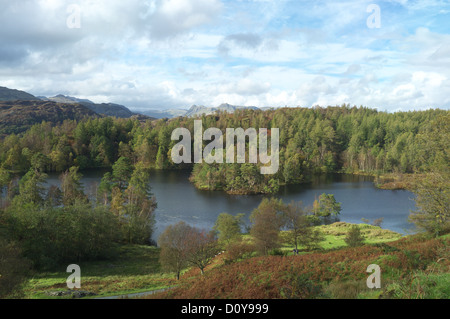 Herbstzeit am Tarn Hows mit Langdale Pikes in der Ferne, Nationalpark Lake District, Cumbria, England UK Stockfoto