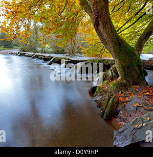 Der Fluß Barle im Herbst bei Tarr Steps, Exmoor National Park, Somerset, England, UK Stockfoto