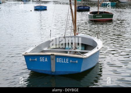 Meer-Belle Stockfoto