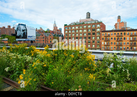 Der Central Park in New York im Herbst Stockfoto