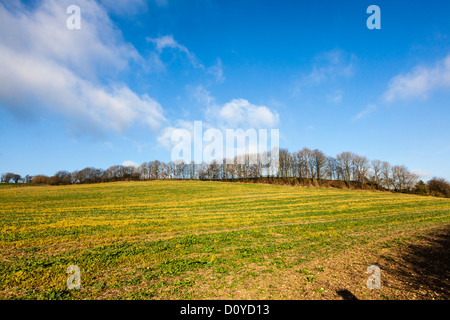 Blick auf die North Downs in Kent zwischen Biggin Hill und Westerham, Großbritannien Stockfoto