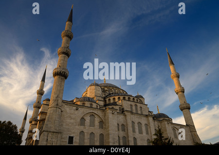 Blaue Moschee Sultanahmet Istanbul Türkei von hinten bei Sonnenuntergang Stockfoto