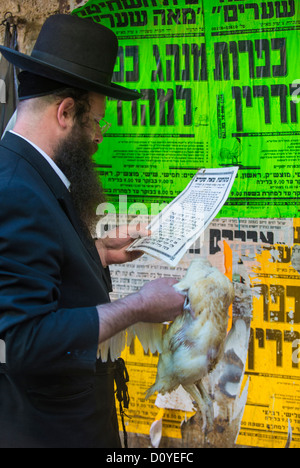 Eine ultra-orthodoxen jüdischen Mann betet mit einem Huhn während der Kaparot Zeremonie in Jerusalem Israel Stockfoto