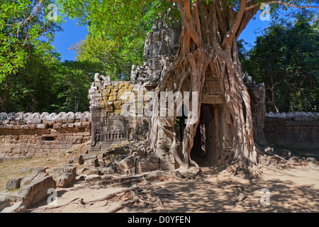 Antike Tempel Preah Khan in Angkor Komplex Stockfoto