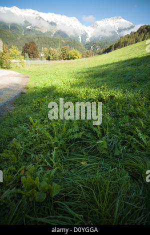 Am frühen Morgen feuchten grünen Rasen in den Hügeln rund um Innsbruck mit dünnen Wolke klammerte sich an den Schnee bedeckt Berge. Stockfoto