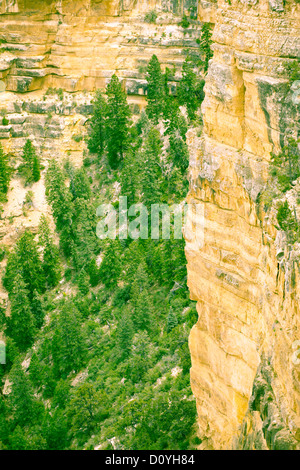 Blick auf den Grand Canyon, Juli 2011 Stockfoto