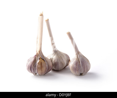 Haufen Knoblauch isoliert Stockfoto