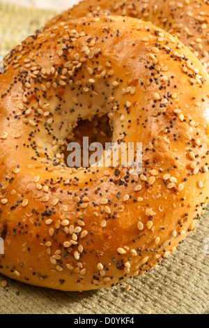 Alles Bagel, traditionelles Brot von New York City Stockfoto