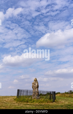 Der King-Stein, Teil der Rollright-Gruppe der Menhire in Oxfordshire, England Stockfoto