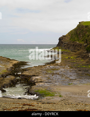 Cove, Wellen und Seetang fließen westlich von Curio Bay, Südinsel, Neuseeland Stockfoto