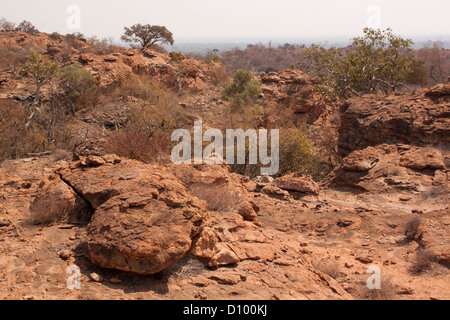 Mapungubwe Nationalpark mit Blick auf ein UNESCO-Weltkulturerbe in Limpopo in Südafrika Stockfoto