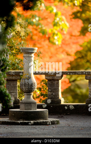 Herbstfarben in den Gärten des RBG Kew Wakehurst Platz in West Sussex UK. Stockfoto