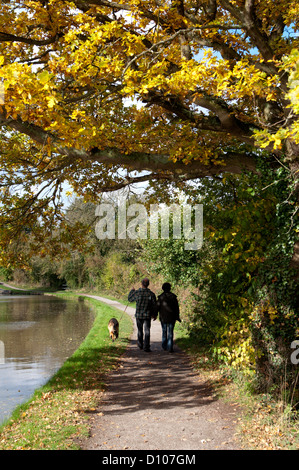 Paare, die auf Kanal Leinpfad im Herbst Stockfoto