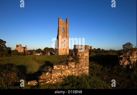 Der gelbe Turm, Teil der Überreste der Abtei aus dem 6. Jahrhundert Kloster der Heiligen Jungfrau oberhalb des Flusses Boyne, Trim, County Meath, Irland Stockfoto