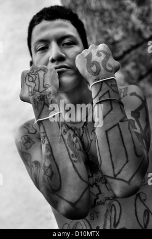 Ein Mitglied des 18 Street Gang (M-18) zeigt stolz seine Bande Tattoos in San Salvador, El Salvador. Stockfoto