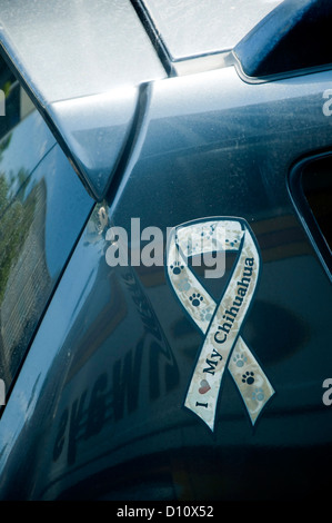 Nachricht auf einem schwarzen Auto in Los Angeles Kalifornien USA Stockfoto