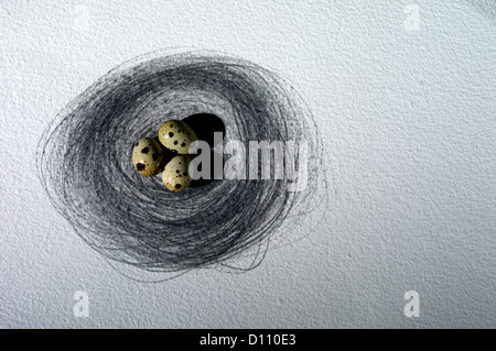 Ansicht von oben von drei Vogel Ei im Nest. Stockfoto